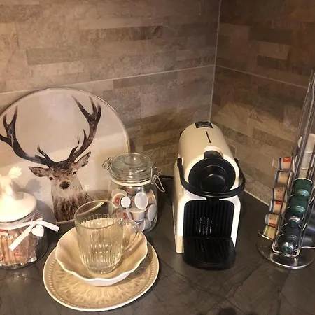 Seeleben Appartement Mit Millstaetter See Card