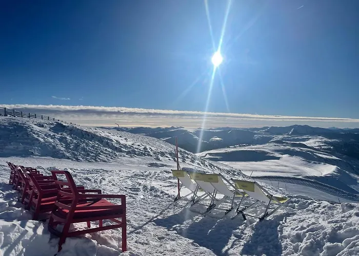 Apartment Seeleben Appartement Mit Millstaetter See Card Millstatt